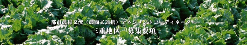 三重地区　募集要項