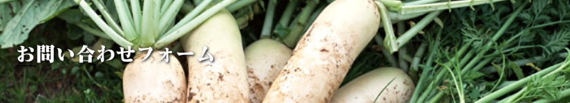 問い合わせフォーム